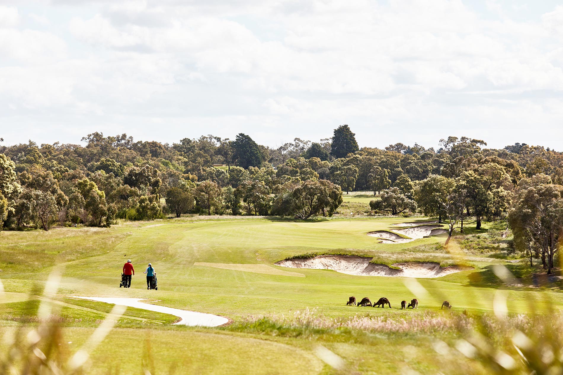 Botanic Ridge Golf Course