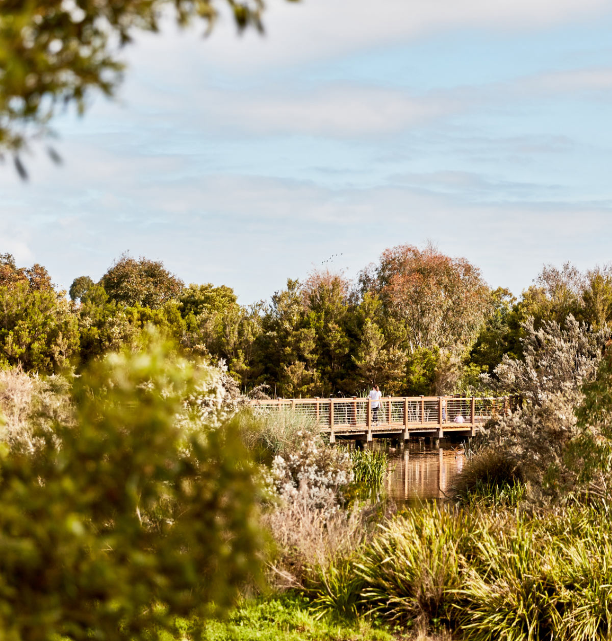 Botanic Ridge Wetlands